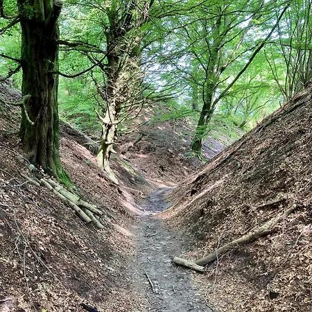 Appartement Seaside Serenity In Taysinge-by Traum *