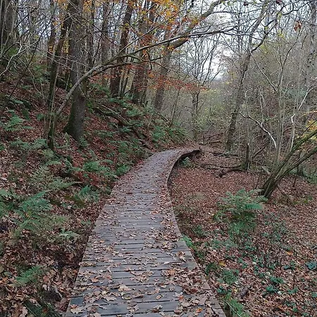 Seaside Serenity In Taysinge-by Traum *